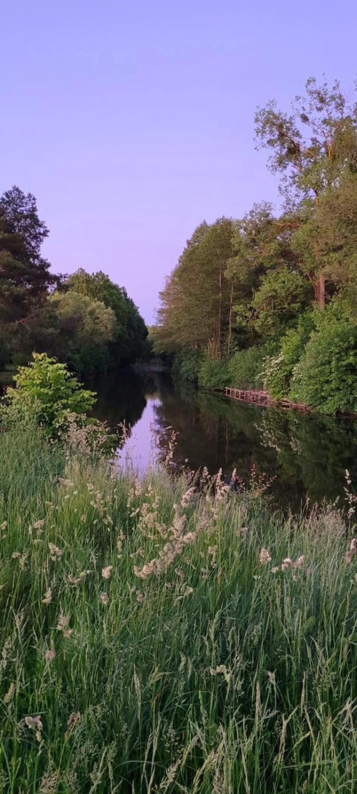Domki Na Chabrowej Augustów Kültér fotó